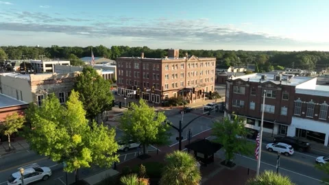 Drone Gliding over Palm Trees in Georgia Small Town at Sunrise Stock Footage 327884315