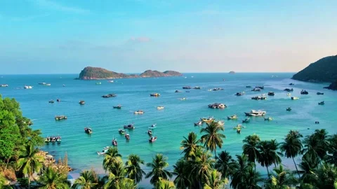 Drone gliding over palm trees towards fishing boats in turquoise sea 4K 스톡 동영상 333939045
