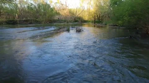 Drone Gliding Over River in Forest – Natural Water Flow Video stock 332567130