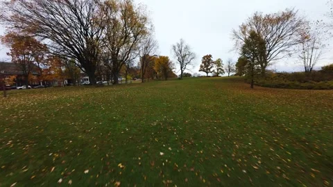 Drone gliding through misty forest trail 스톡 동영상 320201879