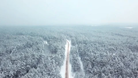 Drone goes down and flies over the winter snow-covered road among the forest Stock Footage 101656992
