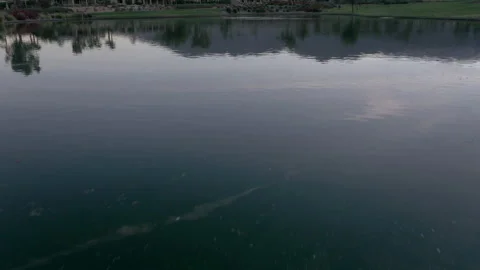 Drone Golf Course 4K 24FPS Stock Footage 134208725