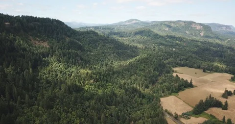 Drone - The Gorge 15 Stock Footage 106445403