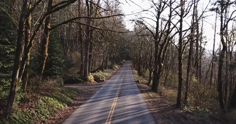 Drone - The Gorge 31 Stock Footage 106430744