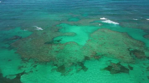 Drone gracefully hovers over breathtaking coral barrier reef in Caribbean Sea Video stock 271606338