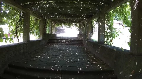 Drone grape arbor Stock Footage 52695173