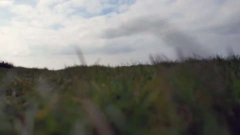 Drone In A Grassy Field Taking Off On The Mendip Hills, Somerset, England 動画素材 188837168