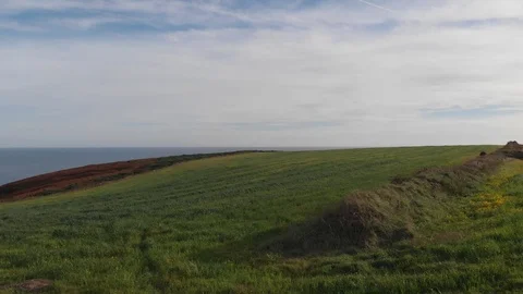 Drone green field and clouds blue sky in Ireland hd Video stock 105589378