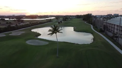 Drone green field 動画素材 227809246