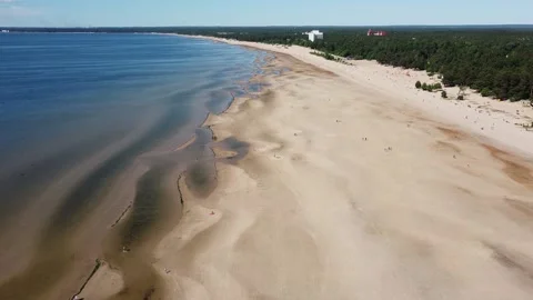 Drone green Forest low Tide on the Sea Beach walking People Stock Footage 134285168