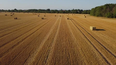 Drone. Haystack in freshly harvested corn field. Yorkshire.UK Stock Footage 257102076