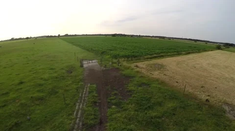Drone heading for a corn field first flying over green grass field 4k Stock Footage 52103525