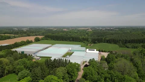 Drone - High Above Right to Left Big View of Greenhouses Stock Footage 314228148