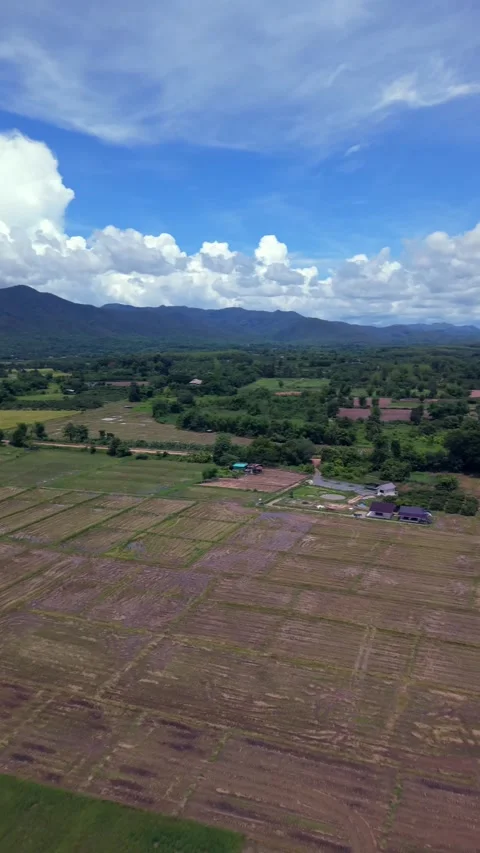 Drone high-altitude panoramic shot flying over rural landscape with fields Stock Footage 335866141