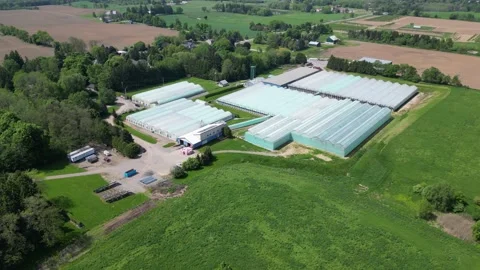 Drone - High Left to Right Shot of Greenhouses and Farmlands Stock Footage 314228142