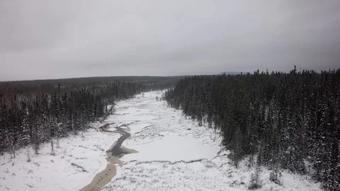 Drone high overhead view tilt down pine trees snow northern quebec Stock Footage 93203875