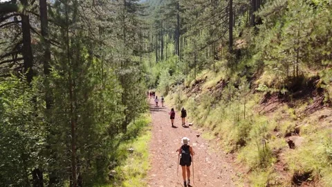 Drone of hikers exploring Valia Kalda’s pristine forest trails and scenic Stock Footage 301284743