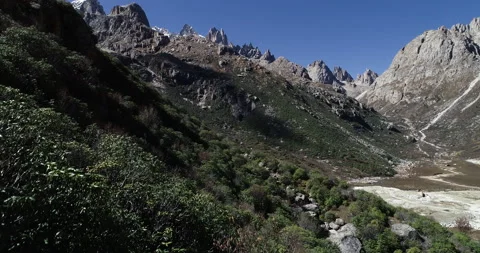 Drone hit the tree while flying backward and crashed Stock Footage 170166147