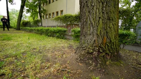 Drone hits the three and falls down slowmotion Stock Footage 108119441