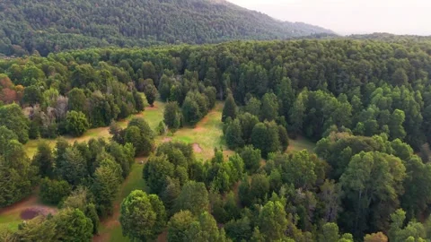 Drone Horizontal Forward Shot Over a Green Golf Course Surrounded by Thick .. Video stock 339252238