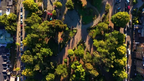 Drone Horizontal Forward Top Down View of a Green Town Square Plaza with Tr.. Stock Footage 339252391