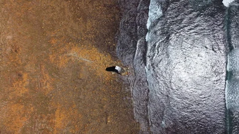 Drone Hovering Above Beacon with View of Waves, Reflections, and Rocks Stock Footage 306313758
