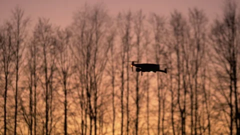Drone hovering and moving right against colorful evening sky and tree Stock Footage 330177089