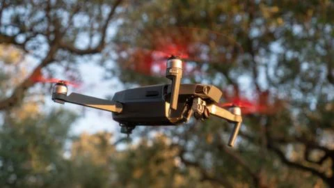 Drone hovering in forest Stock Photos