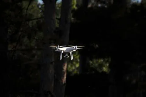 Drone hovering in night forest Stock Photos