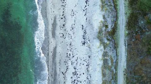 Drone hovering over desolate beach on a winter morning Stock Footage 287915642