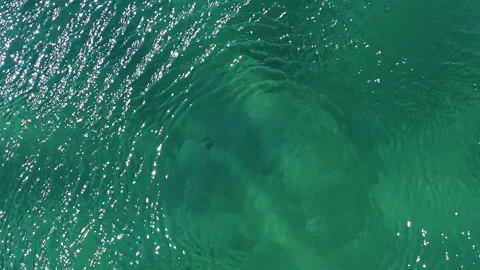 Drone Hovering Over sea Water Video stock 161753845