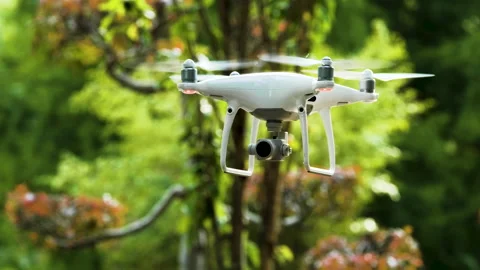 Drone hovering in the park Vídeo Stock 263757838