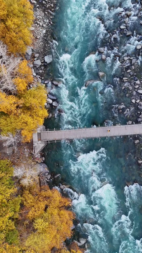 Drone hovers vertically above Kargil’s fiery fall leaves and wooden bridge over Stock Footage 310665285