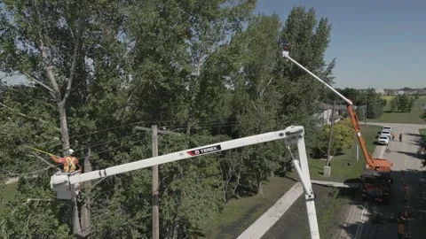 Drone of Hydro linesmen cutting trees around powerlines 1 Stock Footage 241296547