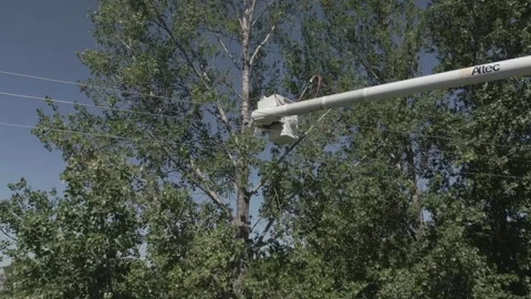 Drone of Hydro linesmen cutting trees around powerlines 3 Stock Footage 241296573