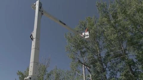 Drone of Hydro linesmen cutting trees around powerlines 2 Stock Footage 241296597