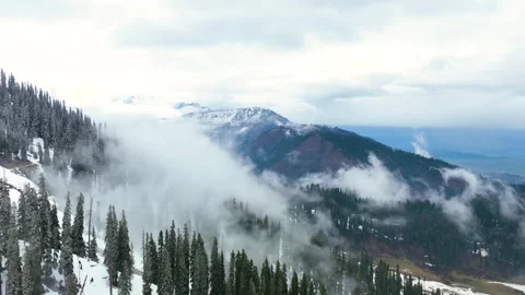Drone hyperlapse of fast moving clouds sweeping across snow patched pine trees. Stock-Footage 333798298