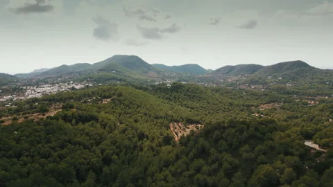 Drone at Ibiza Vidéo 308417779