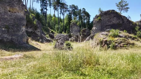 This drone image shows the impressive sea of rocks in Wental. The bizarre rock Stock Footage 340111264