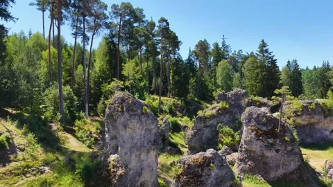 This drone image shows the impressive sea of rocks in Wental. The bizarre rock Stock Footage 340111332
