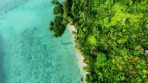 Drone image of vibrant green forest and transparent turquoise sea in Palawan Stock Footage 319738083
