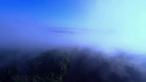 Drone Images Capturing Nature Stock Footage 295922484