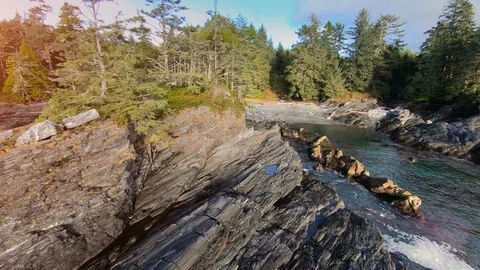 Drone Incredible Ocean Forest View, Descending Reverse Aerial, Trees Ocean Waves Stock Footage 99654429
