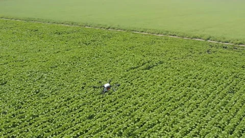 Drone irrigation on the farm field Stock Footage 255620720
