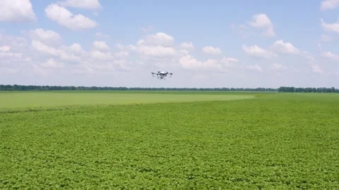 Drone irrigation on the farm field Stock Footage 255620748