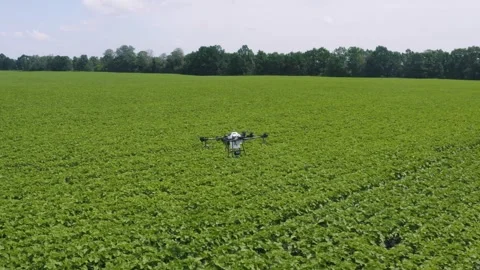 Drone irrigation on the farm field Stock Footage 255620802