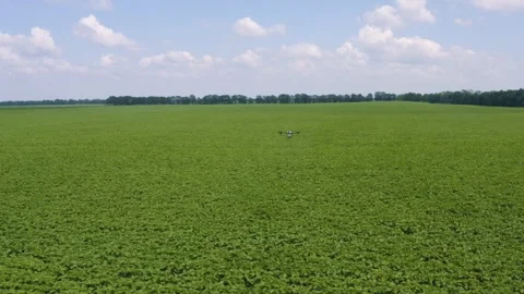Drone irrigation on the farm field Stock Footage 255620863