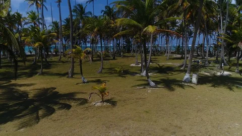 Drone Island inside Stock Footage 101700395