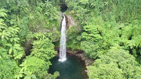 Drone of a jungle waterfall and pool 库存影片 127805561