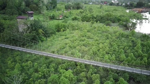 Drone keratom side Video stock 157024650